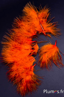 Dinde marabout - 4-7 cm - orange sanguin